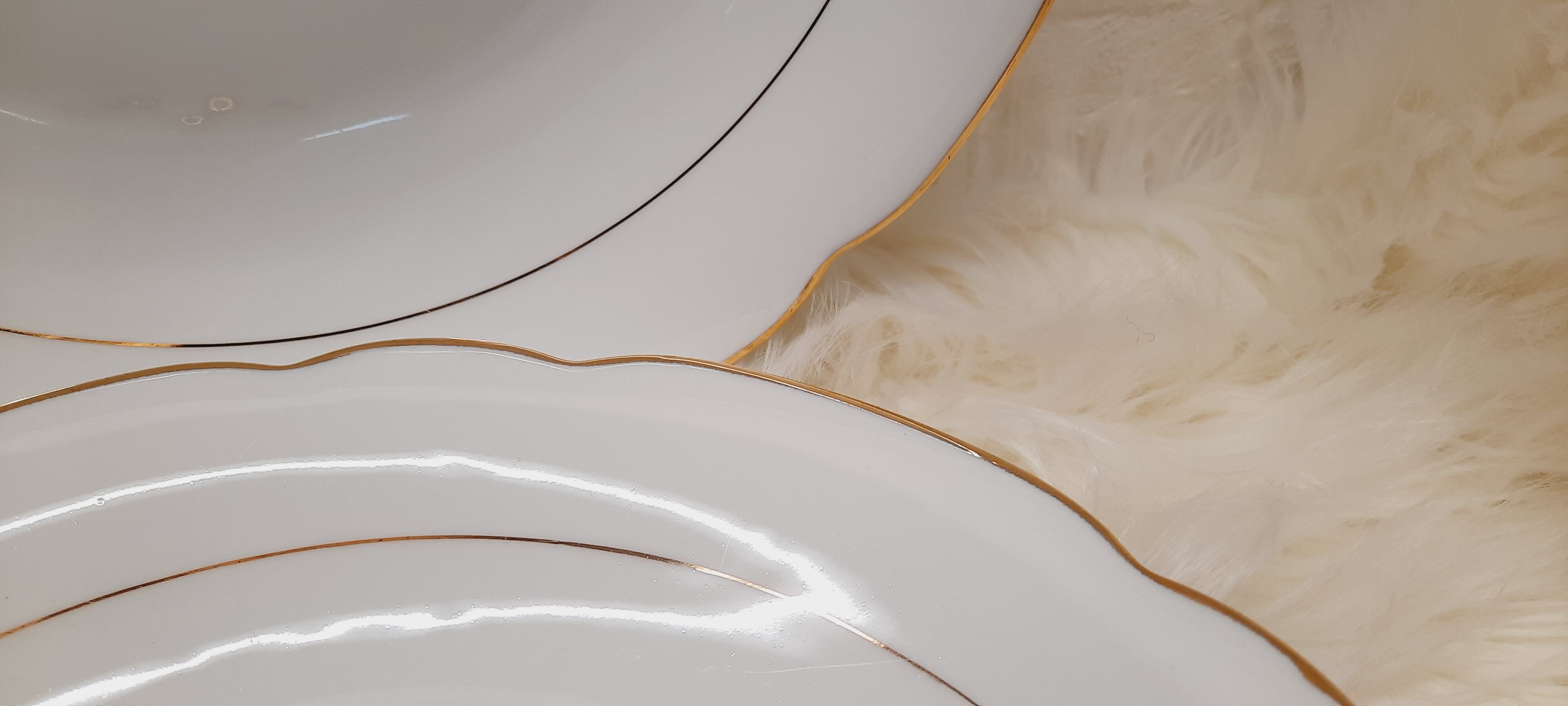 Lot 2 plats porcelaine blanc et or