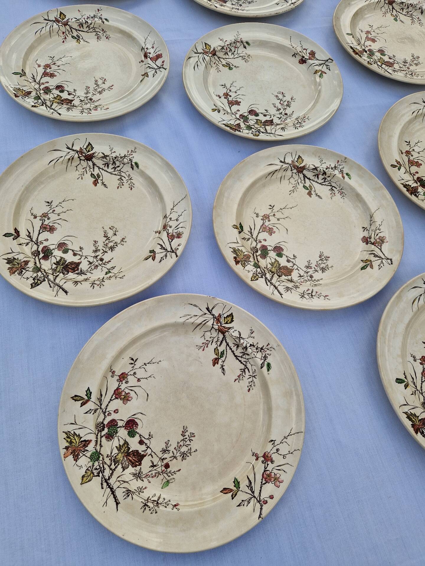 Set of 12 Terre De Fer Plates Manufacture Moore & Co Model Como