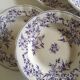 Set of 7 soup plates earthenware of Sarreguemines circa 1870 décor thorns