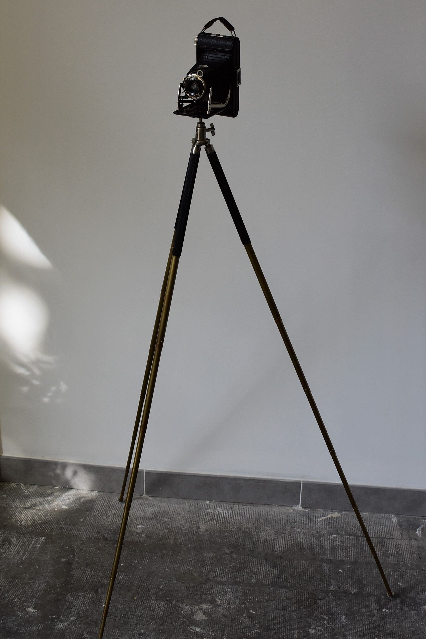 Kodaks black bellows camera