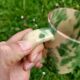 Set of Cups