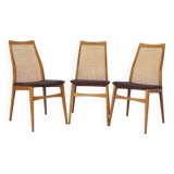 3 Vintage Chairs 1960s Germany by Wilhelm Benze