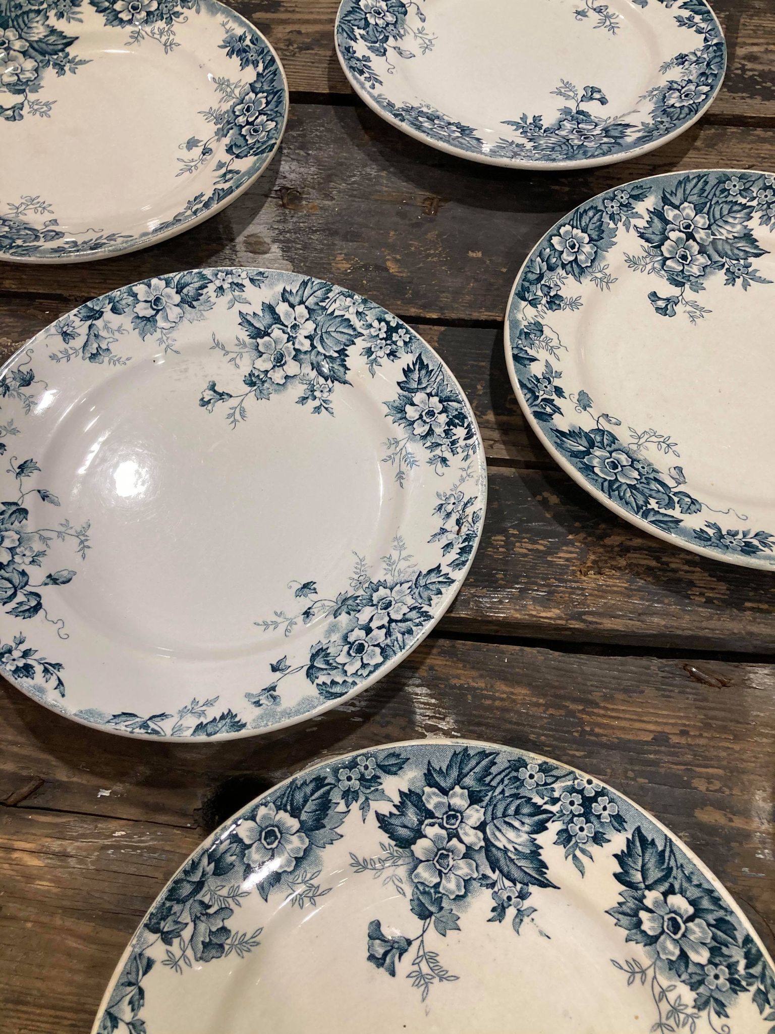 Lot of 6 plates in Terre de Fer Saint Amand - Marie-Louise model hamage