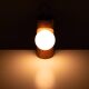 Temde Brutalist solid Pine Hang or Table lamp 1960s Swiss