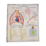 Rossignol educational poster