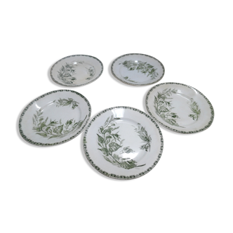 5 assiettes plates terre de fer