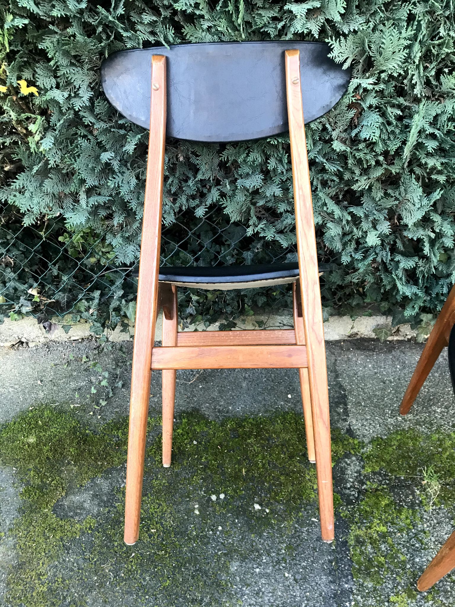 Skai scandinavian chairs 60