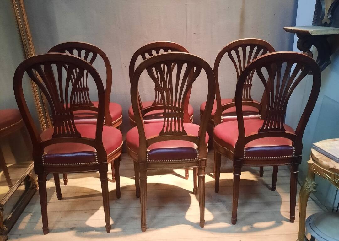 Serie de 6 chaises néo classique  du dix-neuvieme sciecle