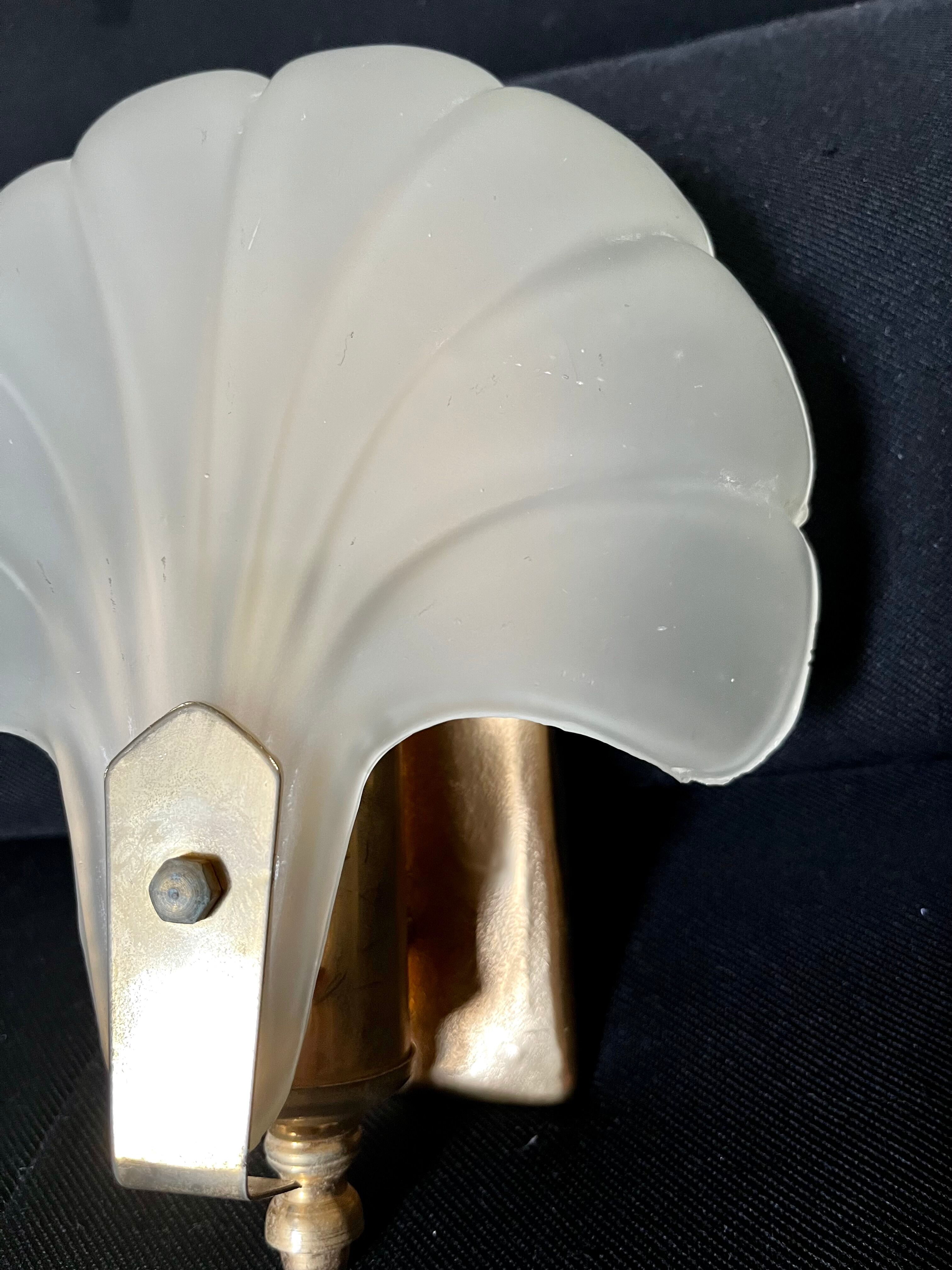 Shell wall lamp