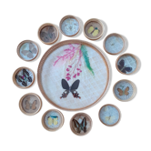 Plateau vintage papillons et ses 12 dessous de verres