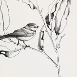 the bird and the branch n°2