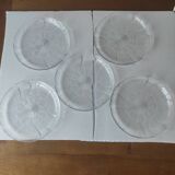 Set of 5 'Flowers' transparent plates by Arcoroc