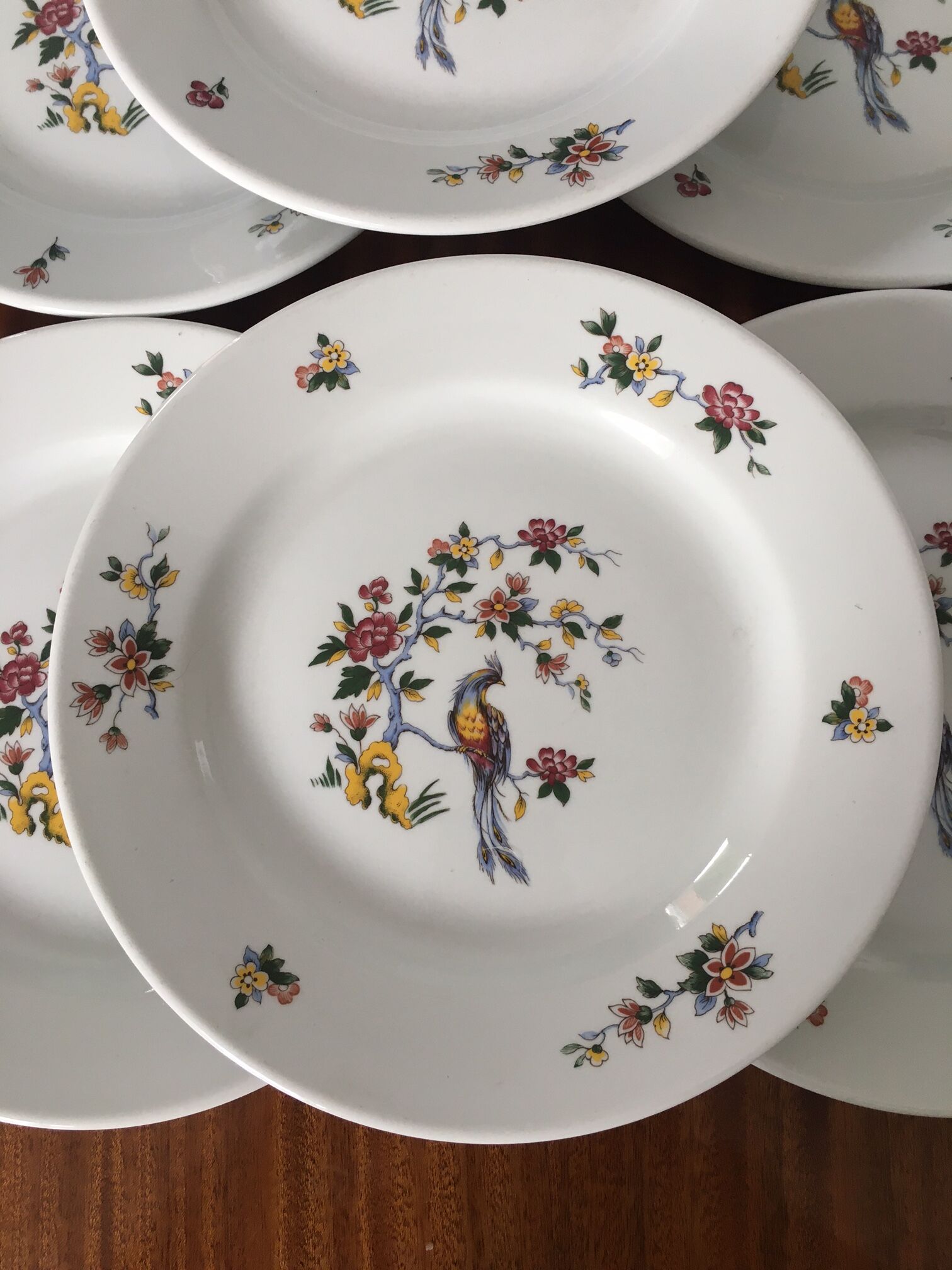 Set of 6 plates Sarreguemines condé model