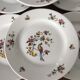 Set of 6 plates Sarreguemines condé model