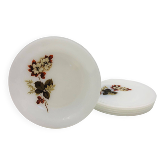 6 “Arcopal” Dessert Plates with flower patterns.