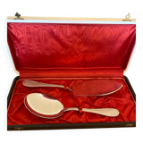 Silver metal cake server