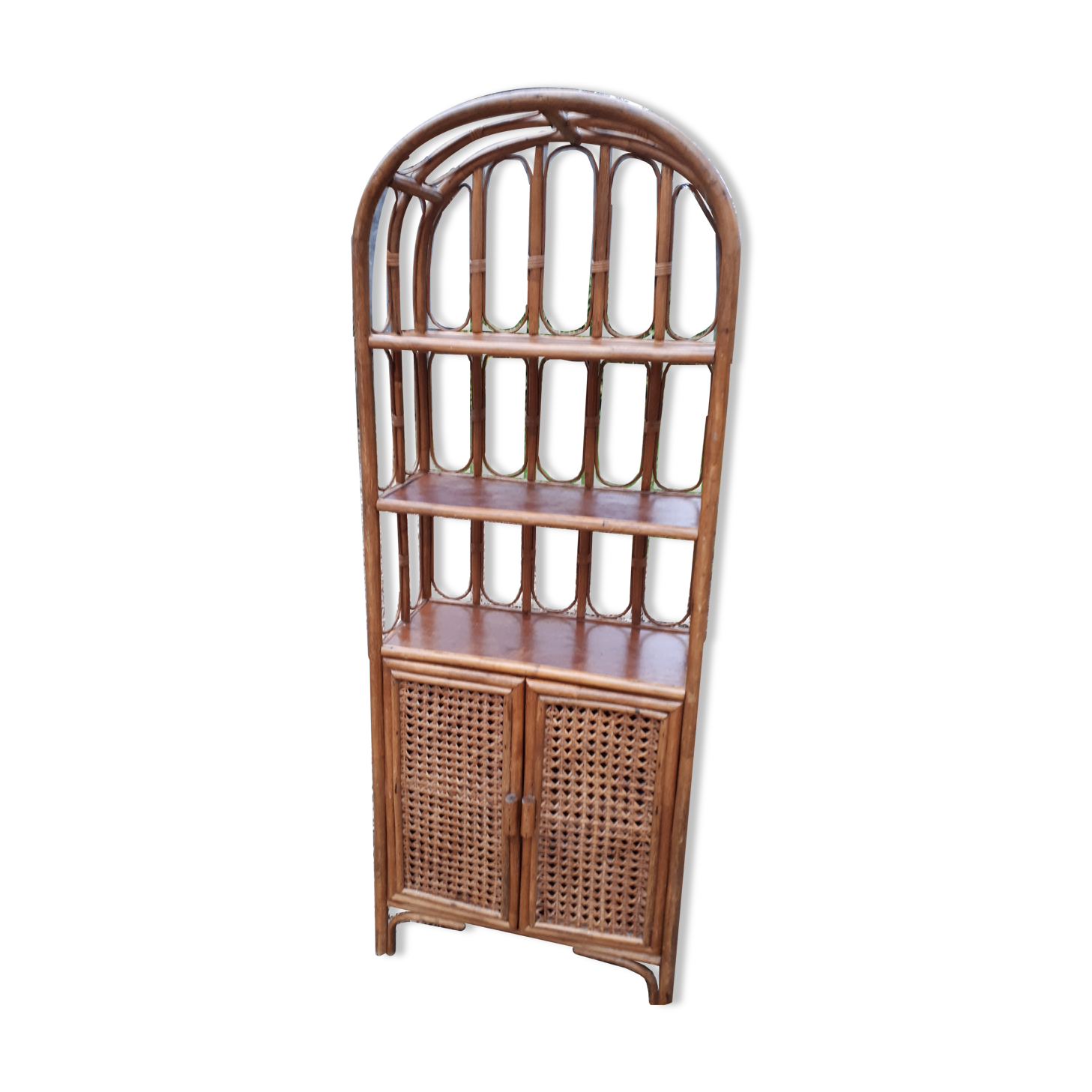 Canned bamboo library