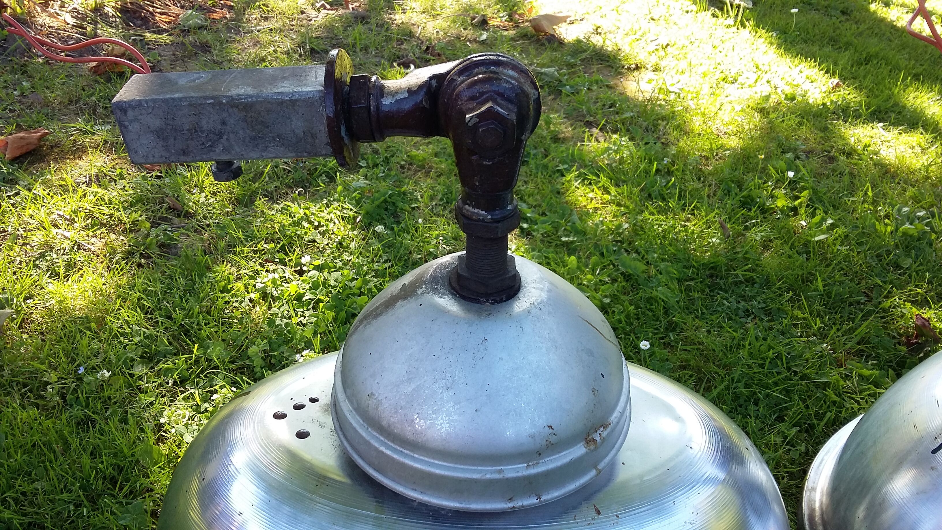 Suspensions of plant