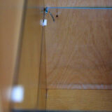 Armoires en frêne par Jitona en 1965