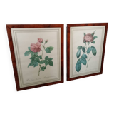Redouté pink botanical boards