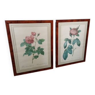 Redouté pink botanical boards
