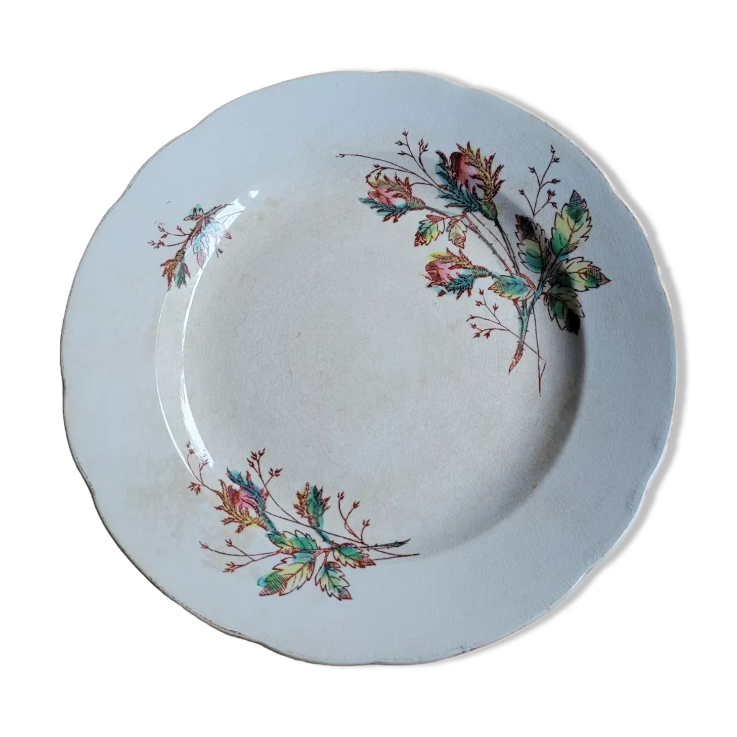 Pexonne FF flat plate