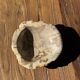 Round beige petrified wood bowl D21- 3780