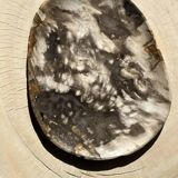 Very large empty pocket or dish in medium light petrified wood 1143