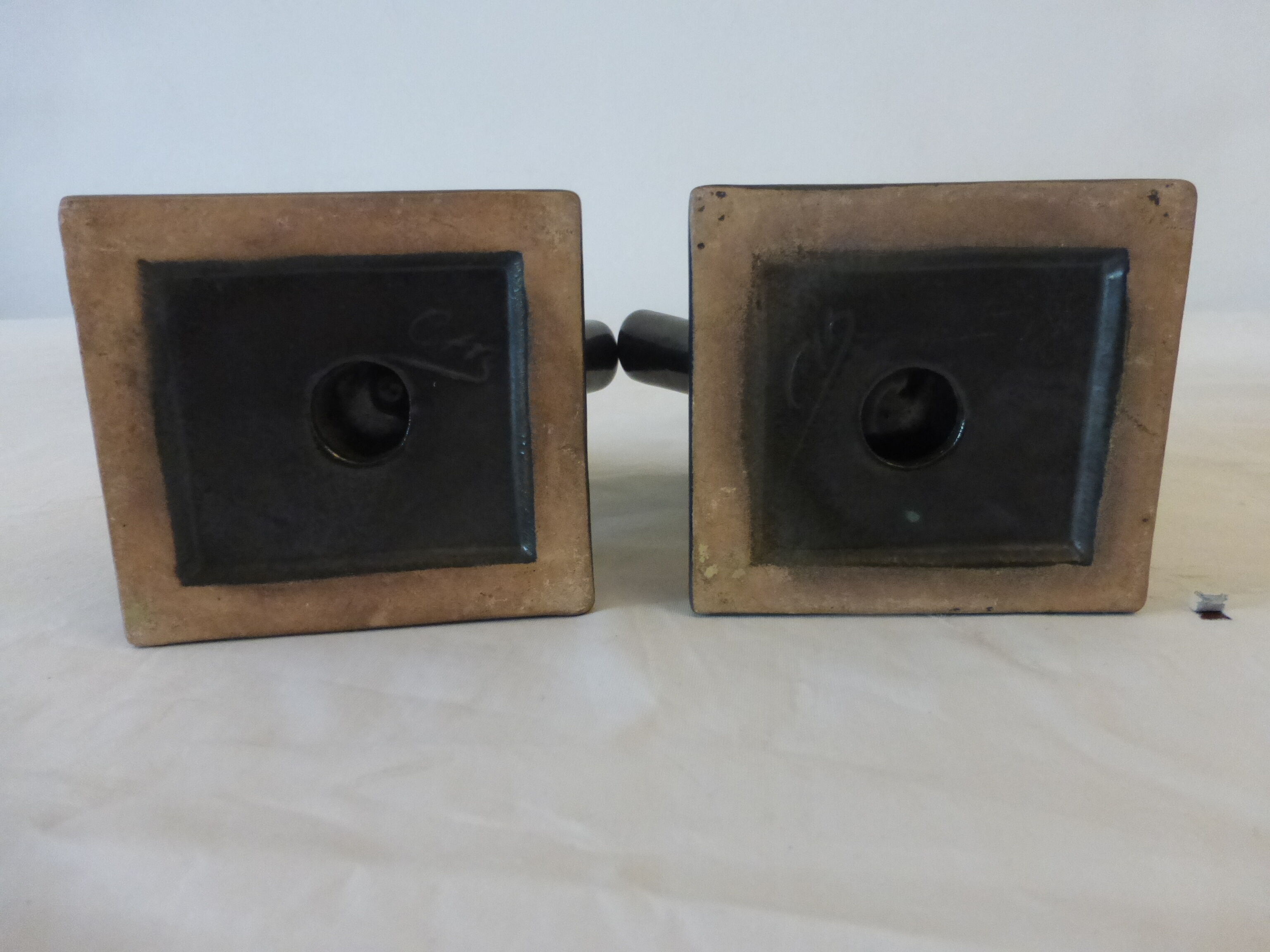 CAB 1940s butterfly book greenhouses