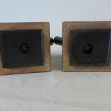 CAB 1940s butterfly book greenhouses