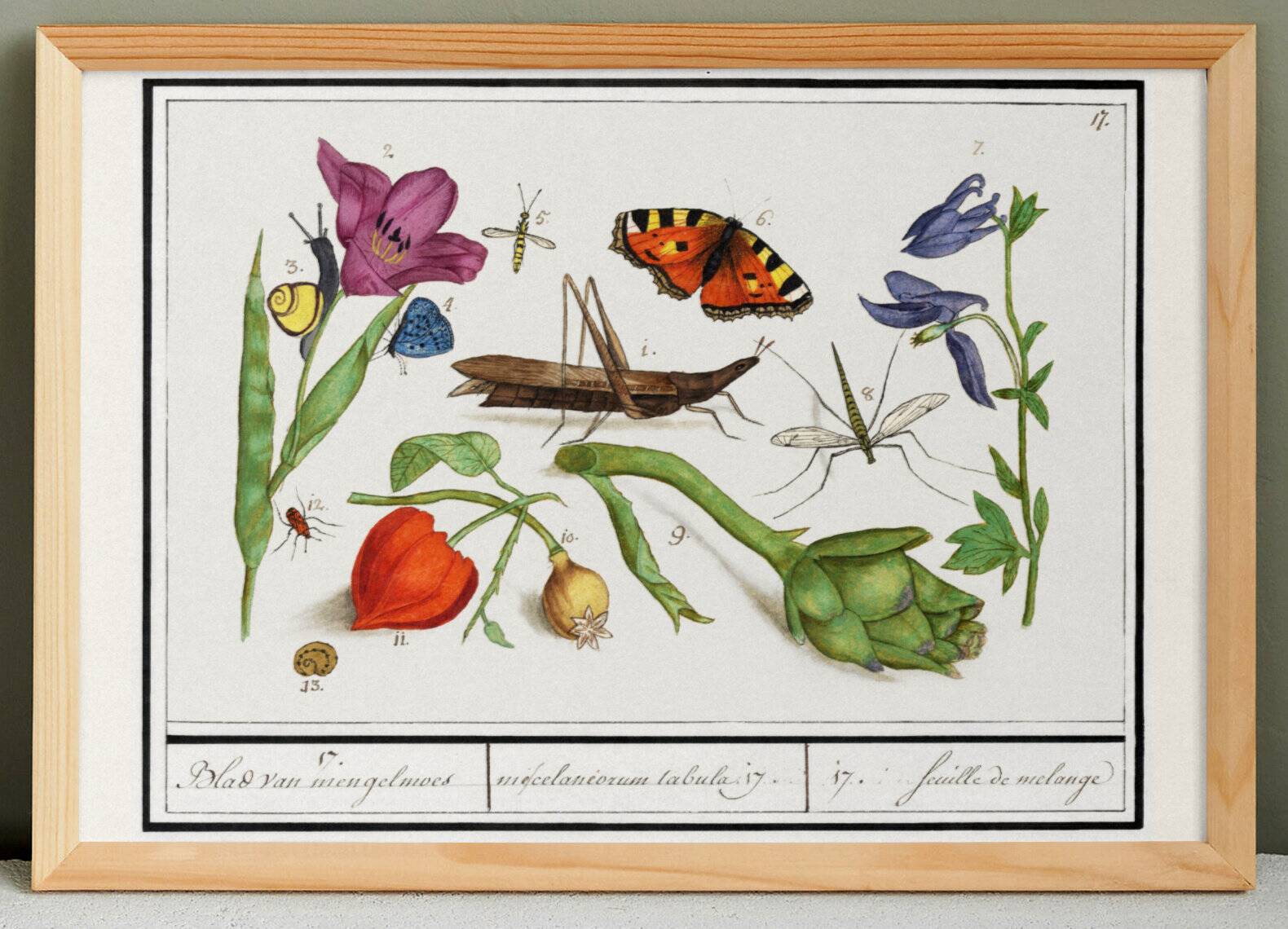 Set of 4 small posters, based on engravings from 1610