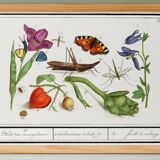 Set of 4 small posters, based on engravings from 1610