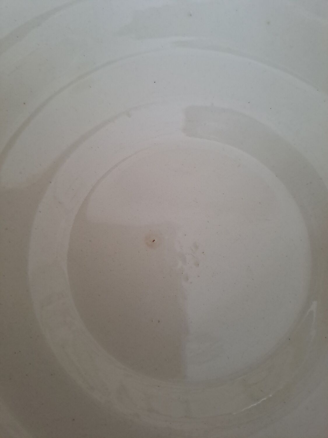 Old Salad Bowl Longchamp