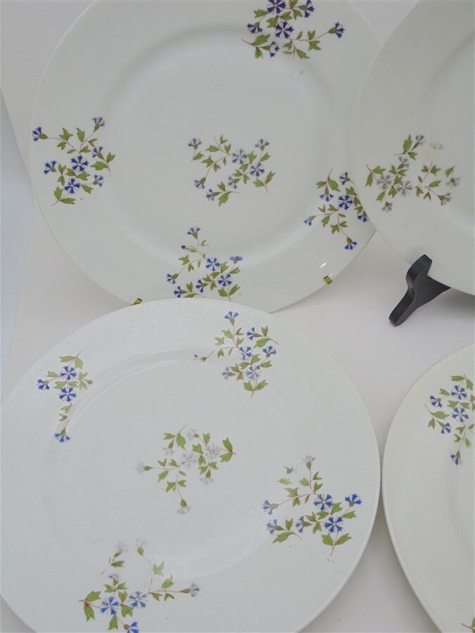 Set of 4 flat plates