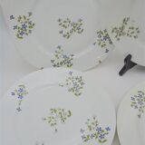 Set of 4 flat plates