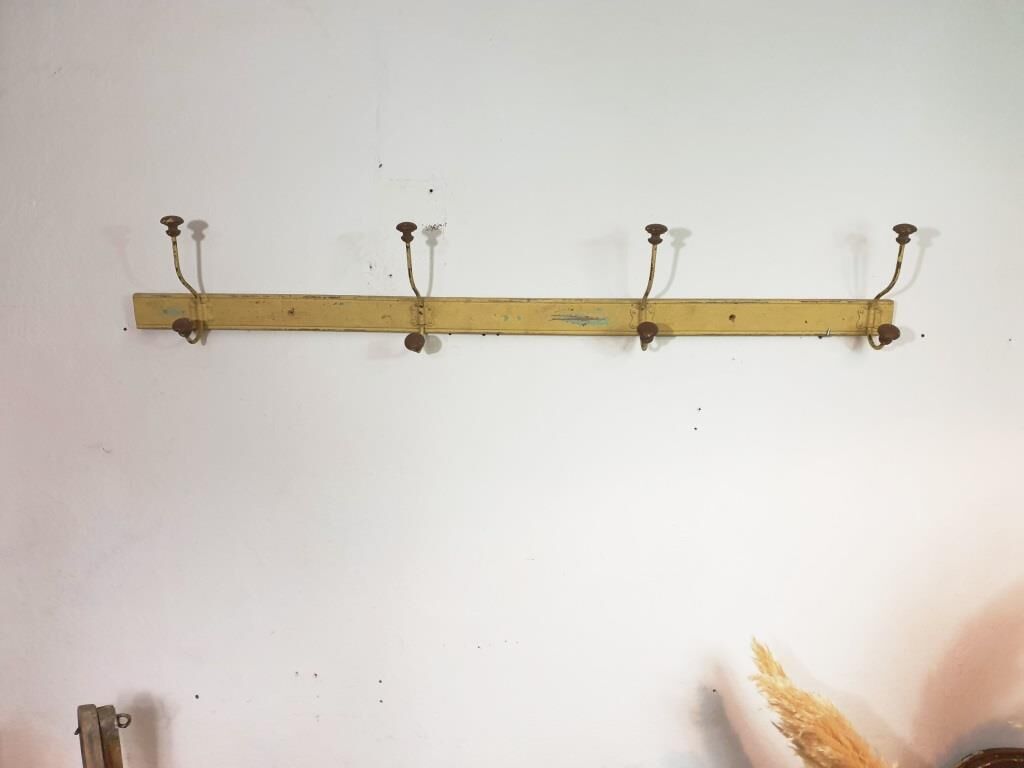 Wall coat holder