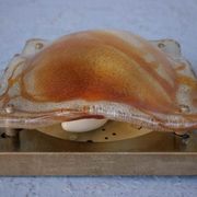 Pair of sconces 1970 design molded glass