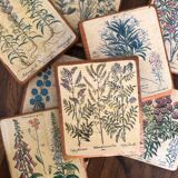 10 "herbarium" frames