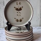 6 flat plates sandstone of the Arnon