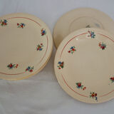 8 dessert plates with presentation dish, Béarn model, Orchies