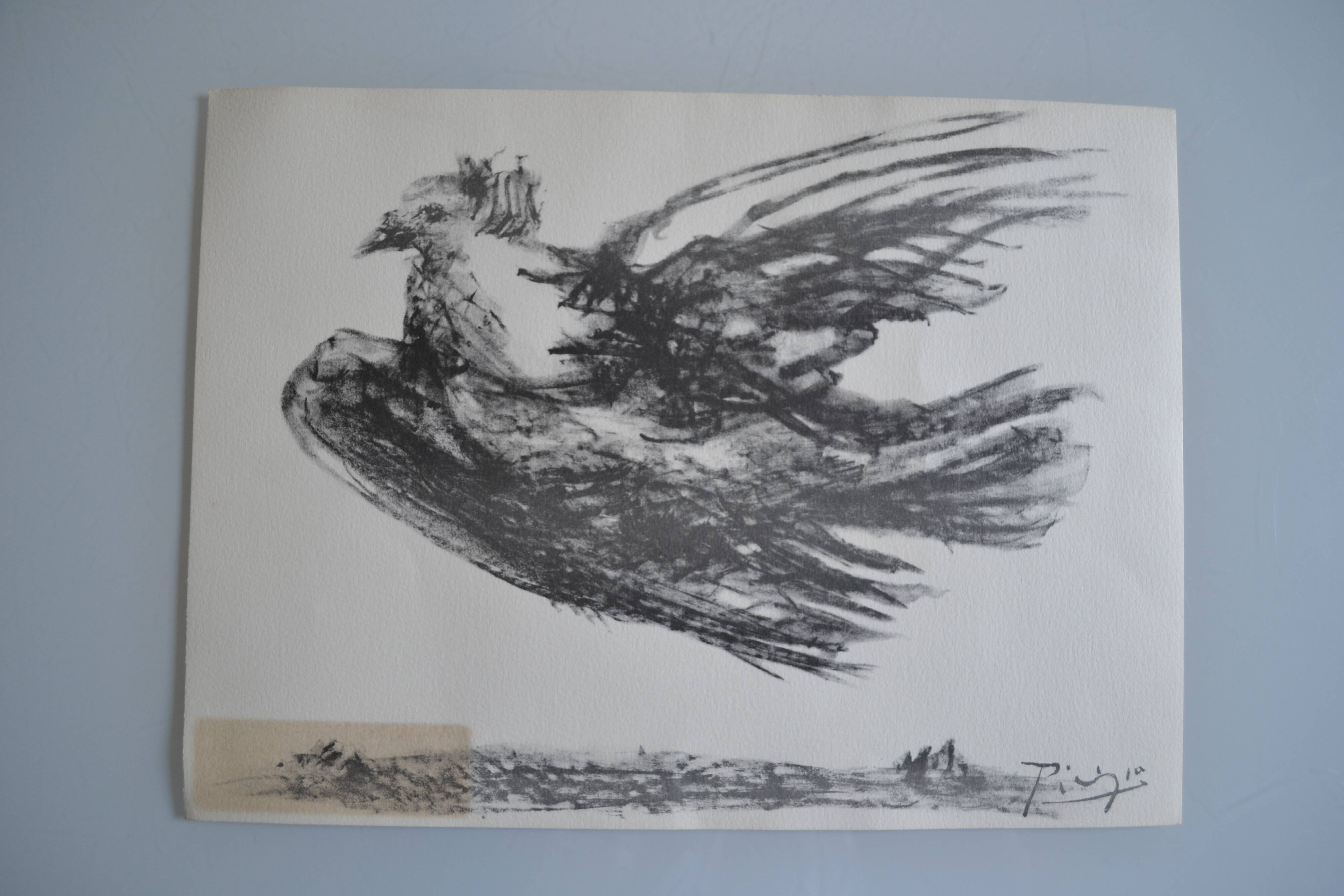 Picasso Lithographie originale 1959 La colombe en vol 38x28cm