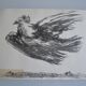 Picasso Lithographie originale 1959 La colombe en vol 38x28cm