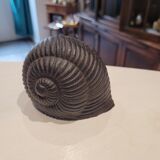 Deco snail