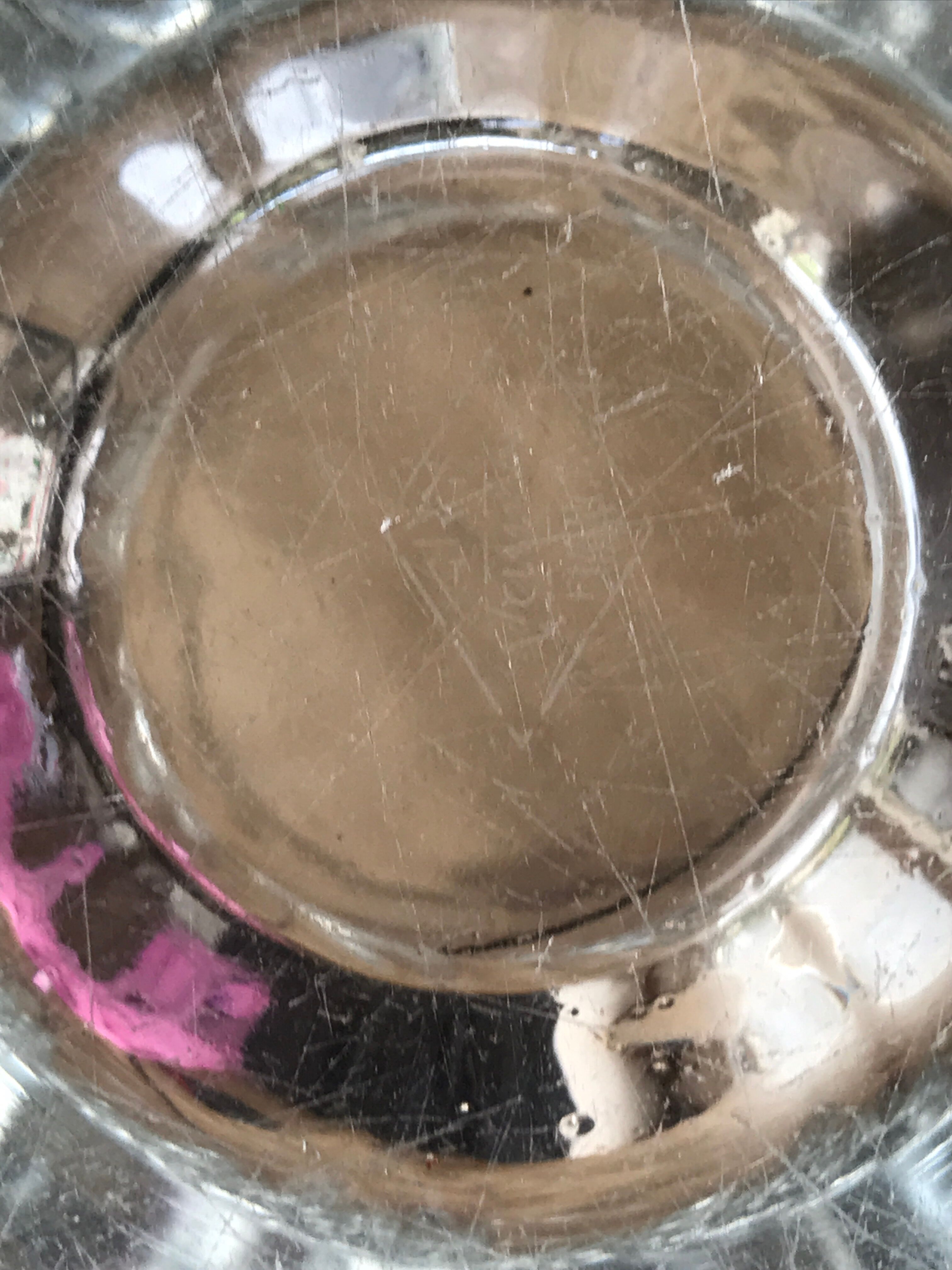 Crystal Vase 8 beaks