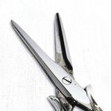 Eugène Schifferlet - Pair of grape scissors in silver