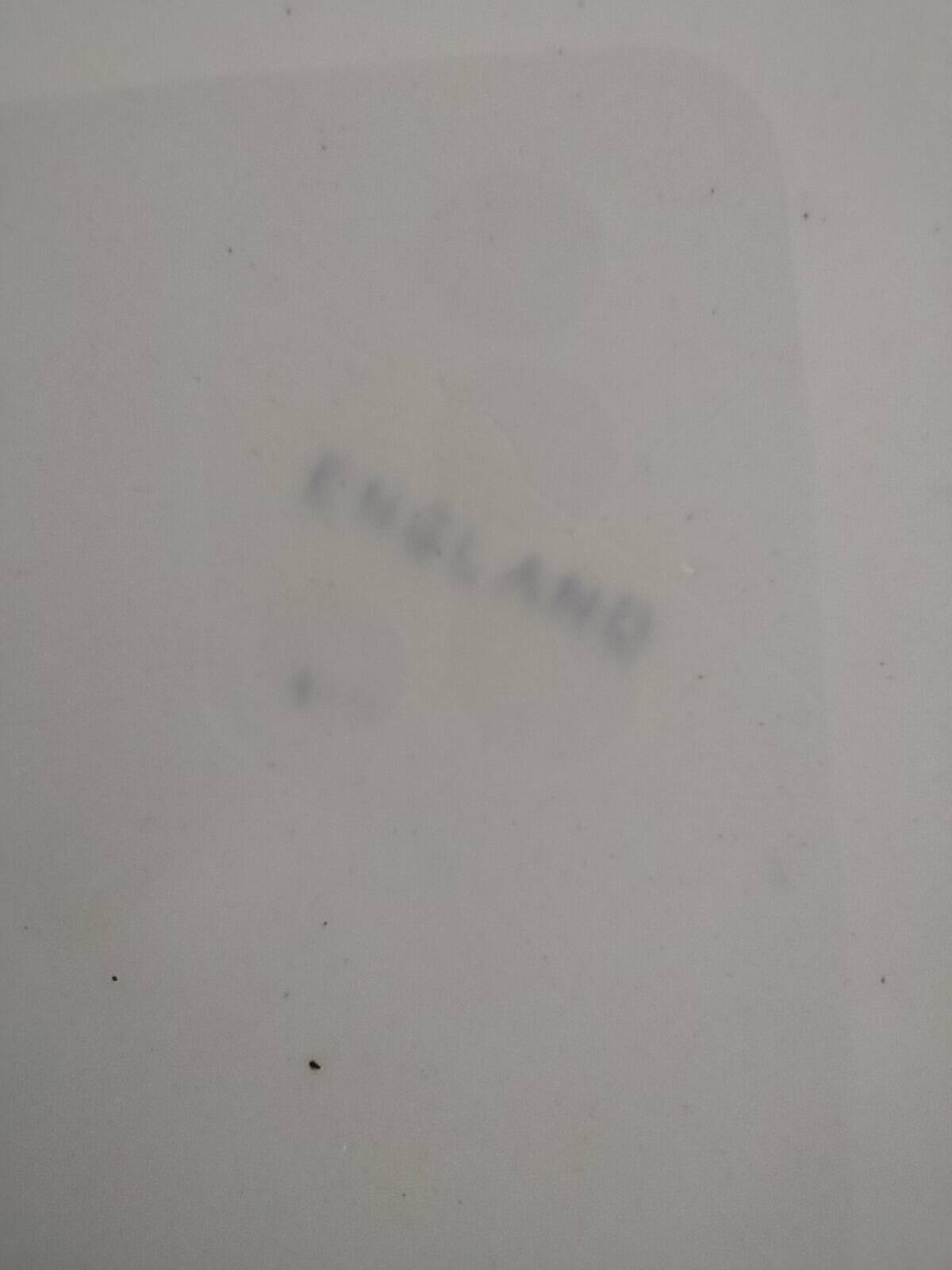 Trio d’assiettes anglaises en faïence fine bleue et blanche, début 20ème