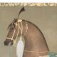 Painted canvas depicting a side view of an Indian horse. Contemporary work.
