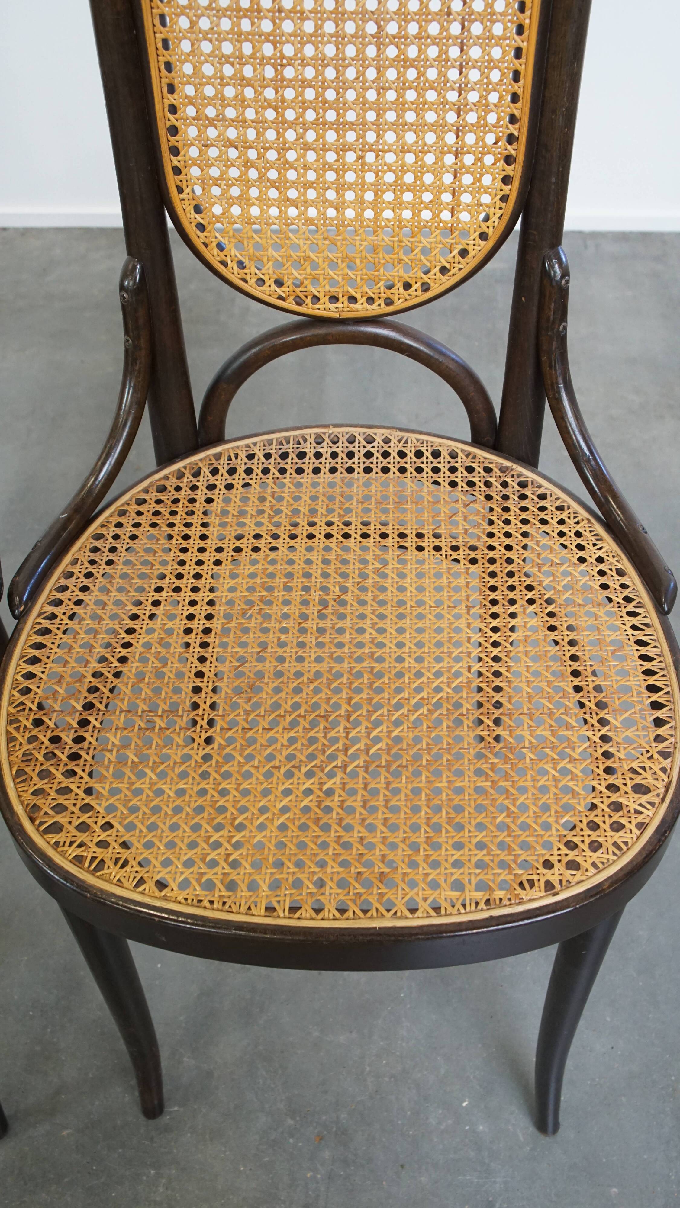 Lot de 4 chaises hautes vintage en bois courbé « Long John » de Thonet