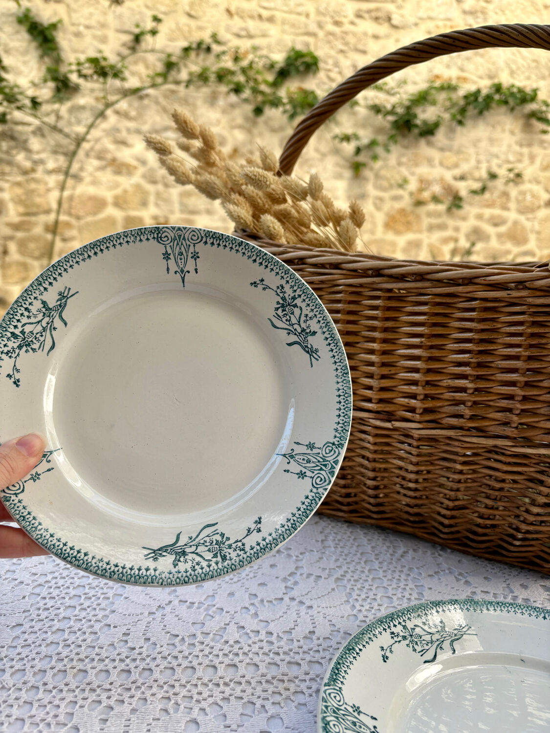 2 ironstone plates St Amand