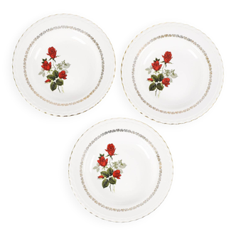 Trois assiettes plates de St Amand 27